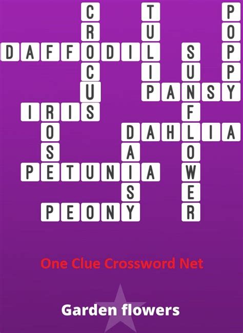 flower lily crossword clue|type of lily 4 letters.